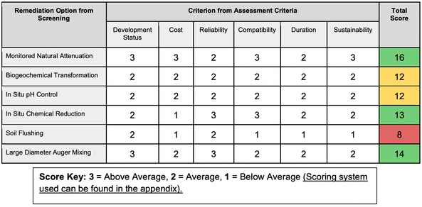 Remediation option assessment matrix